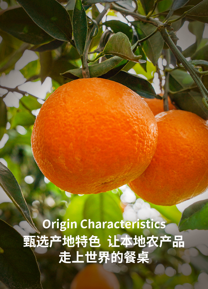 手机轮播