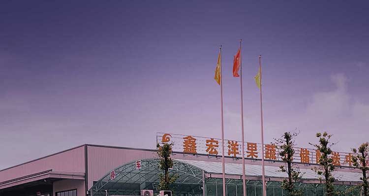 手机关于杏福