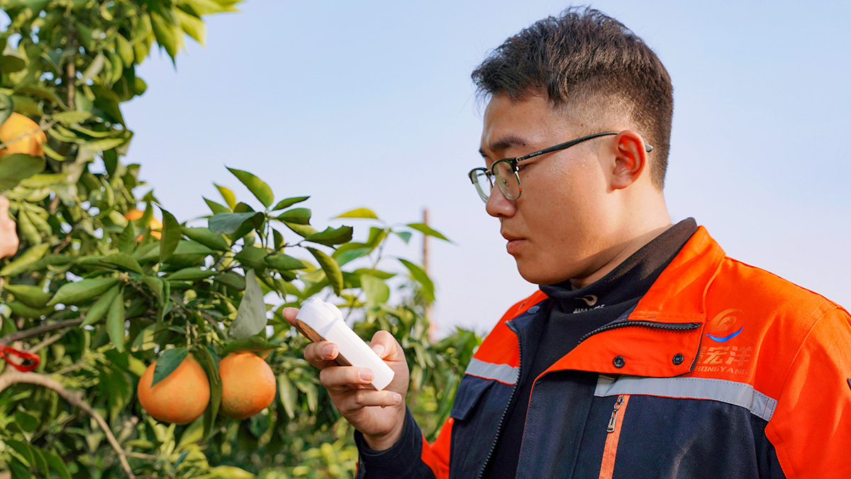 杏福官方网站图片