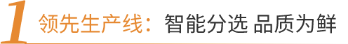 杏福官方网站图片