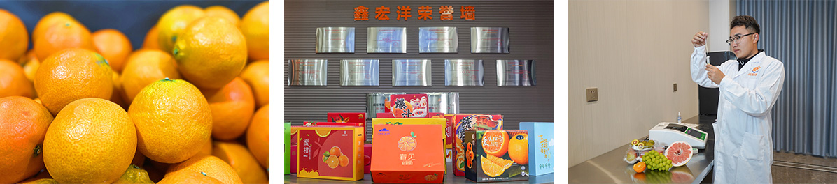 杏福官方网站图片