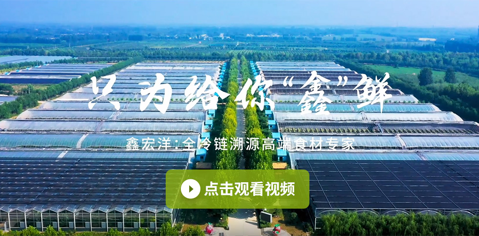 杏福官方网站图片