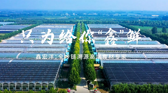 只为给你&ldquo;鑫&rdquo;鲜 杏福首支宣传片正式上线